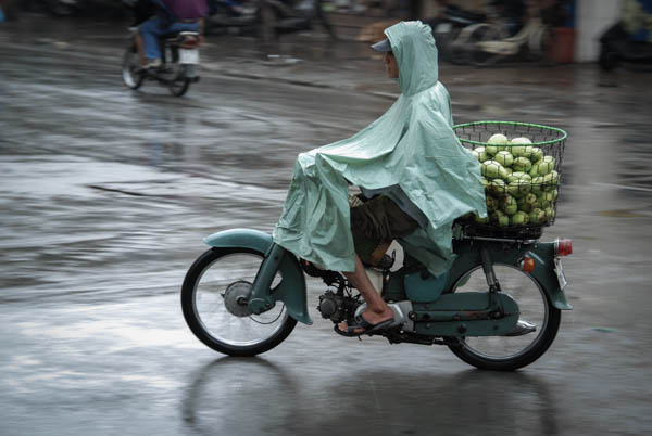 Mann transportiert Obst in großem Drahtbehälter auf einem Moped